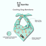 Ultimate Collar Bundle Set - Dream Team (5-Piece) (Final Sale)