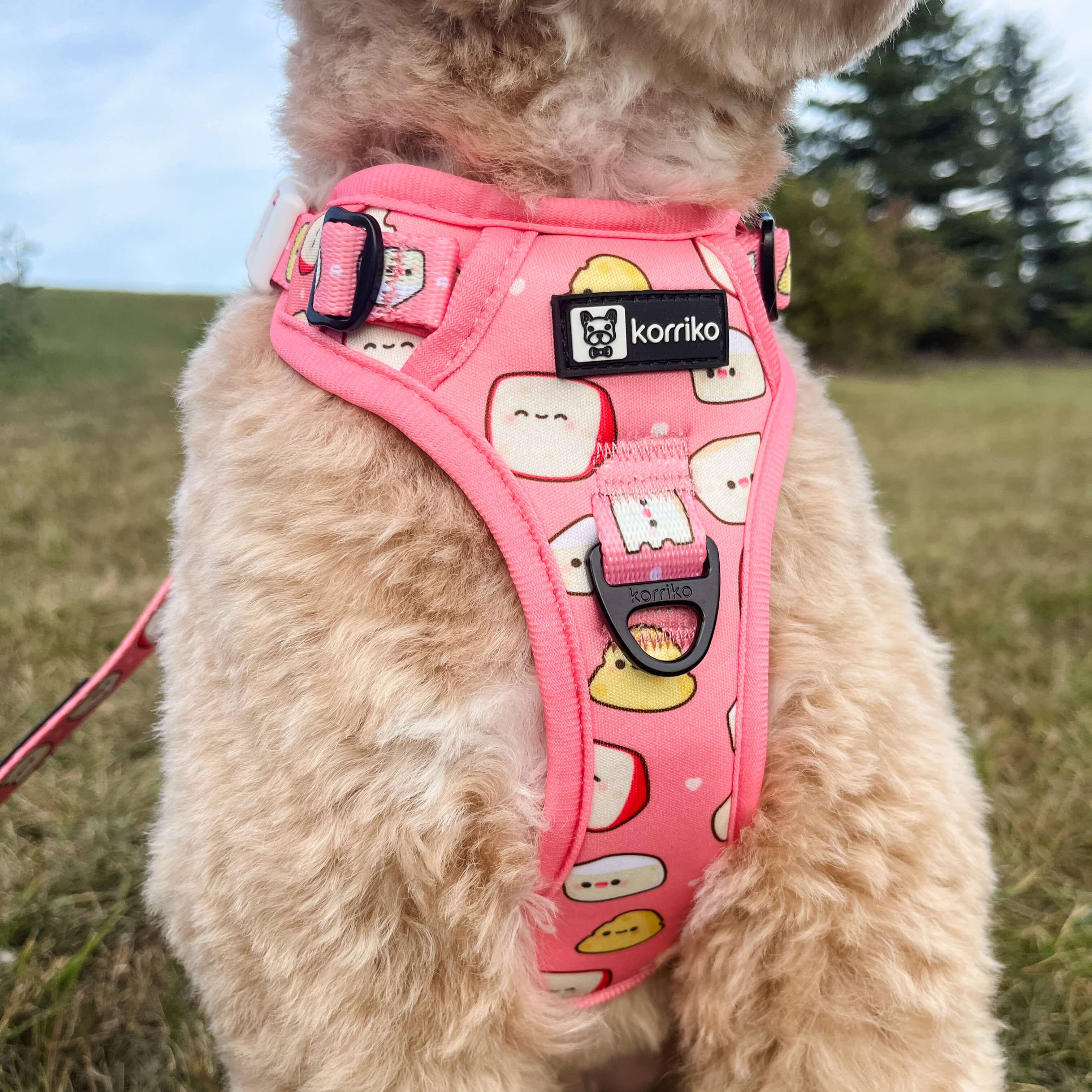 Exploration Lite No-Pull Dog Harness - Cheese