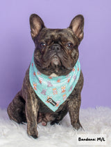 Cooling Dog Bandana - Dream Team (Final Sale)