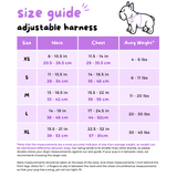 Ultimate Harness Bundle Set - Gummy Bear (Adjustable)