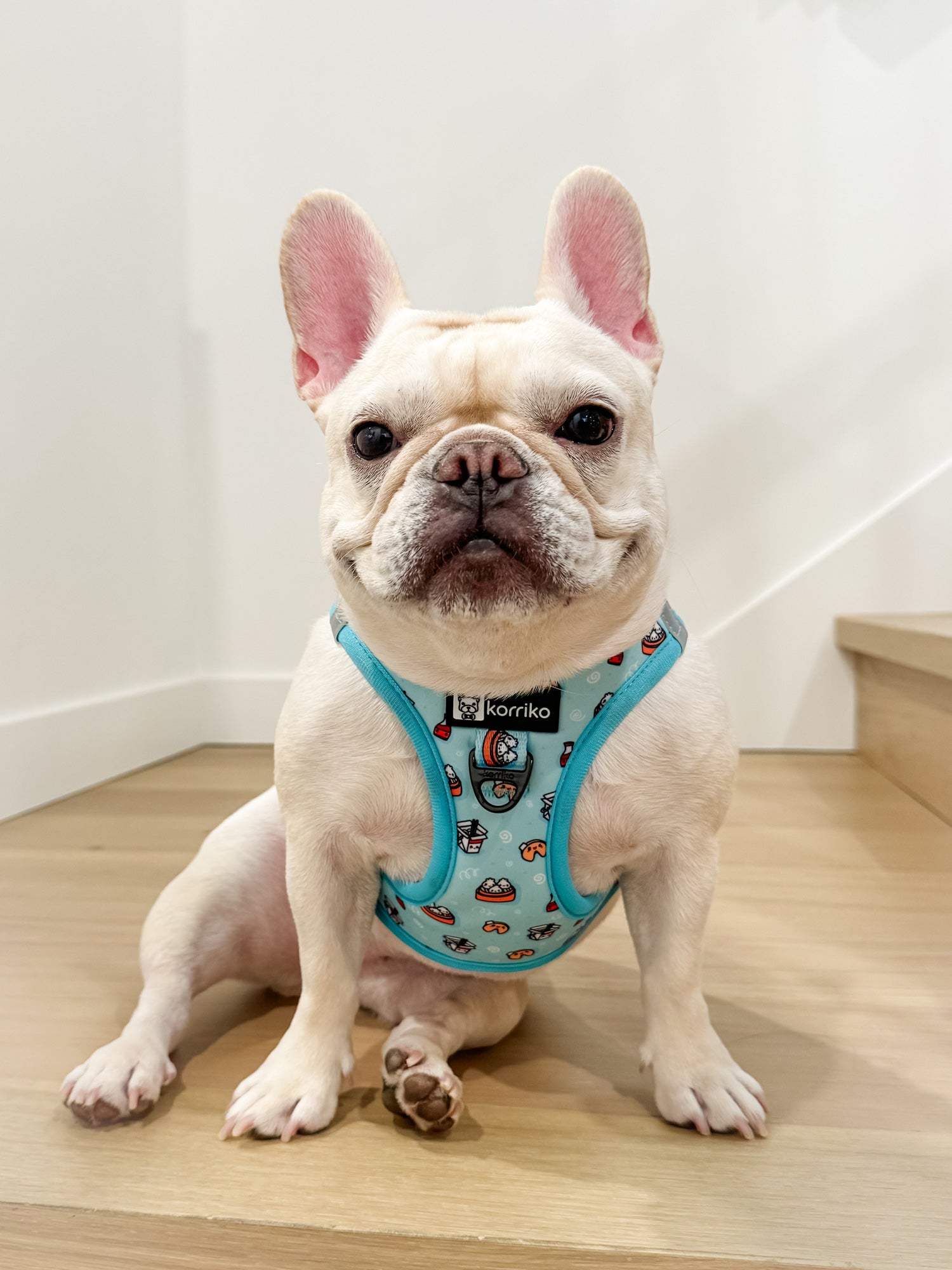 Ultimate Step-In Harness Bundle Set - Adorabao (3-Piece)