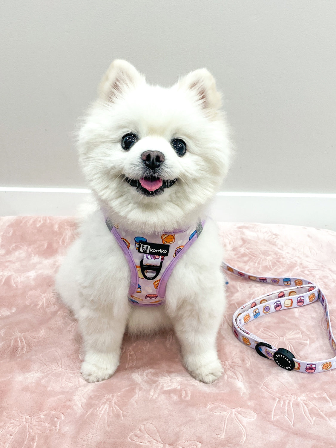 Essential Step-In Harness Walk Set - Peanut Butter Jelly (3-Piece)