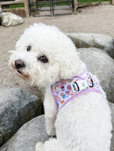 Essential Step-In Harness Walk Set - Peanut Butter Jelly (3-Piece)