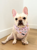 Ultimate Harness Bundle Set - Gummy Bear (Adjustable)