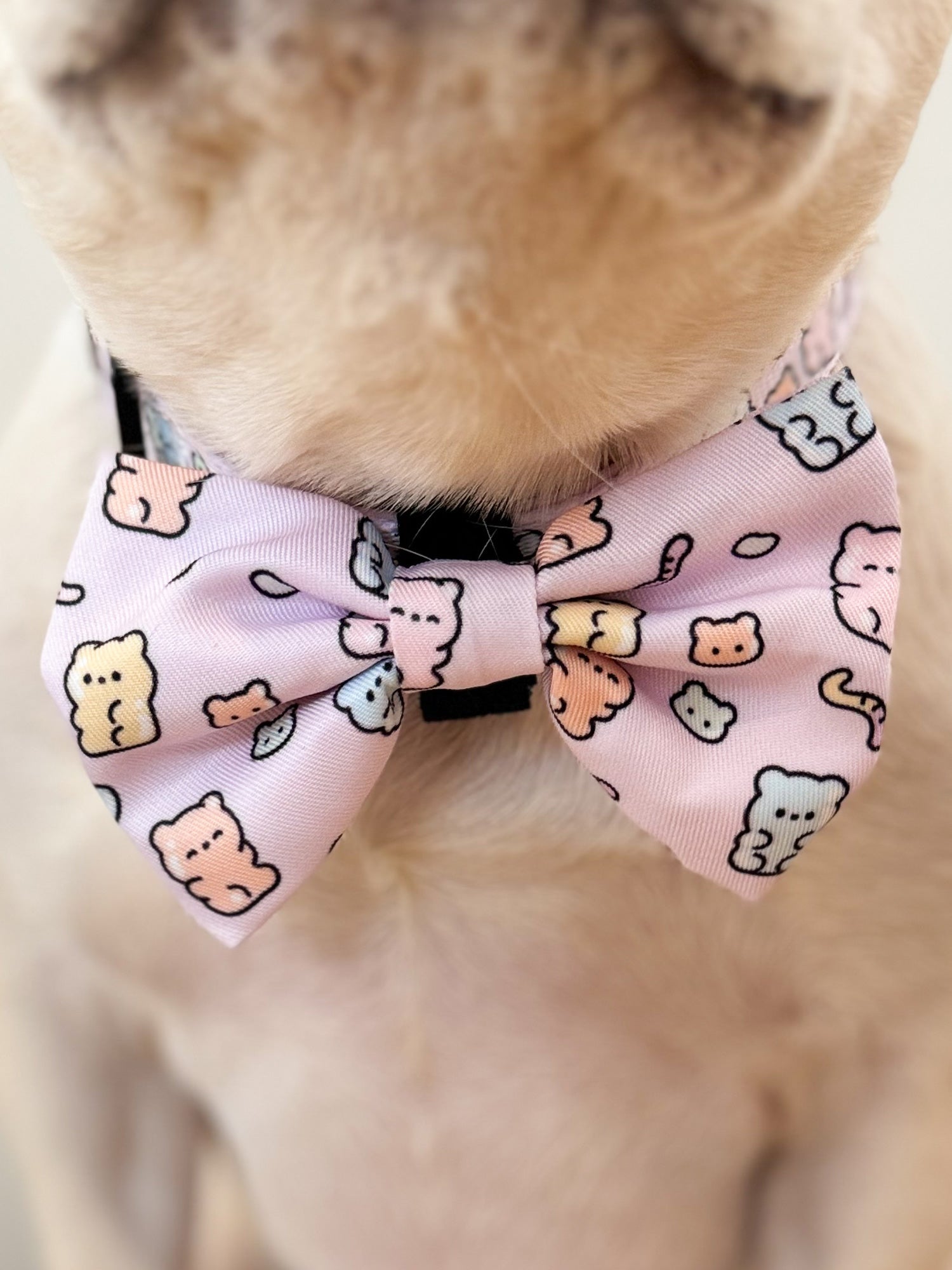 Dog Bow Tie - Gummy Bear