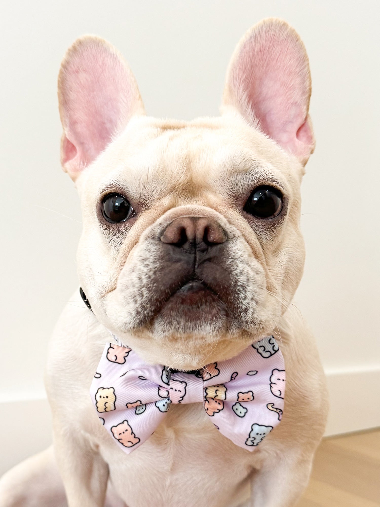 Ultimate Harness Bundle Set - Gummy Bear (Adjustable)