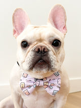 Ultimate Harness Bundle Set - Gummy Bear (Adjustable)