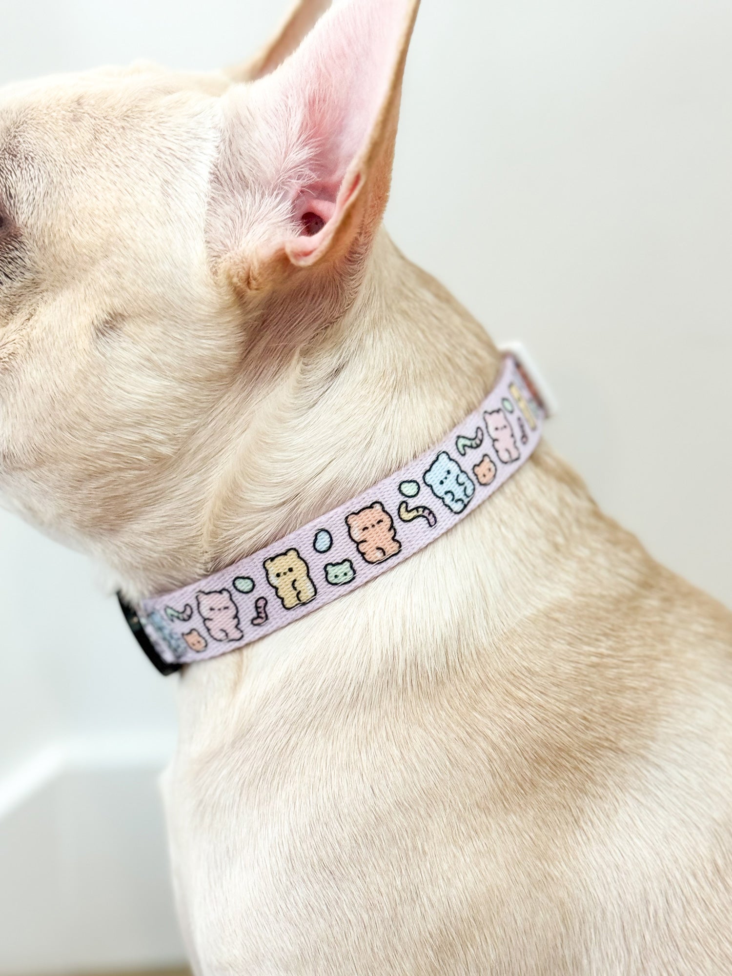 Dog Collar - Gummy Bear