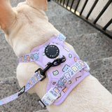 Exploration No-Pull (Step-In) Dog Harness - Gummy Bear