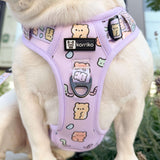Starter Walk Kit - Exploration No-Pull Harness - Gummy Bear (3-Piece)