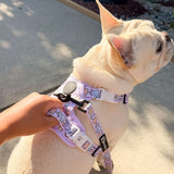 Starter Walk Kit - Exploration No-Pull Harness - Gummy Bear (3-Piece)