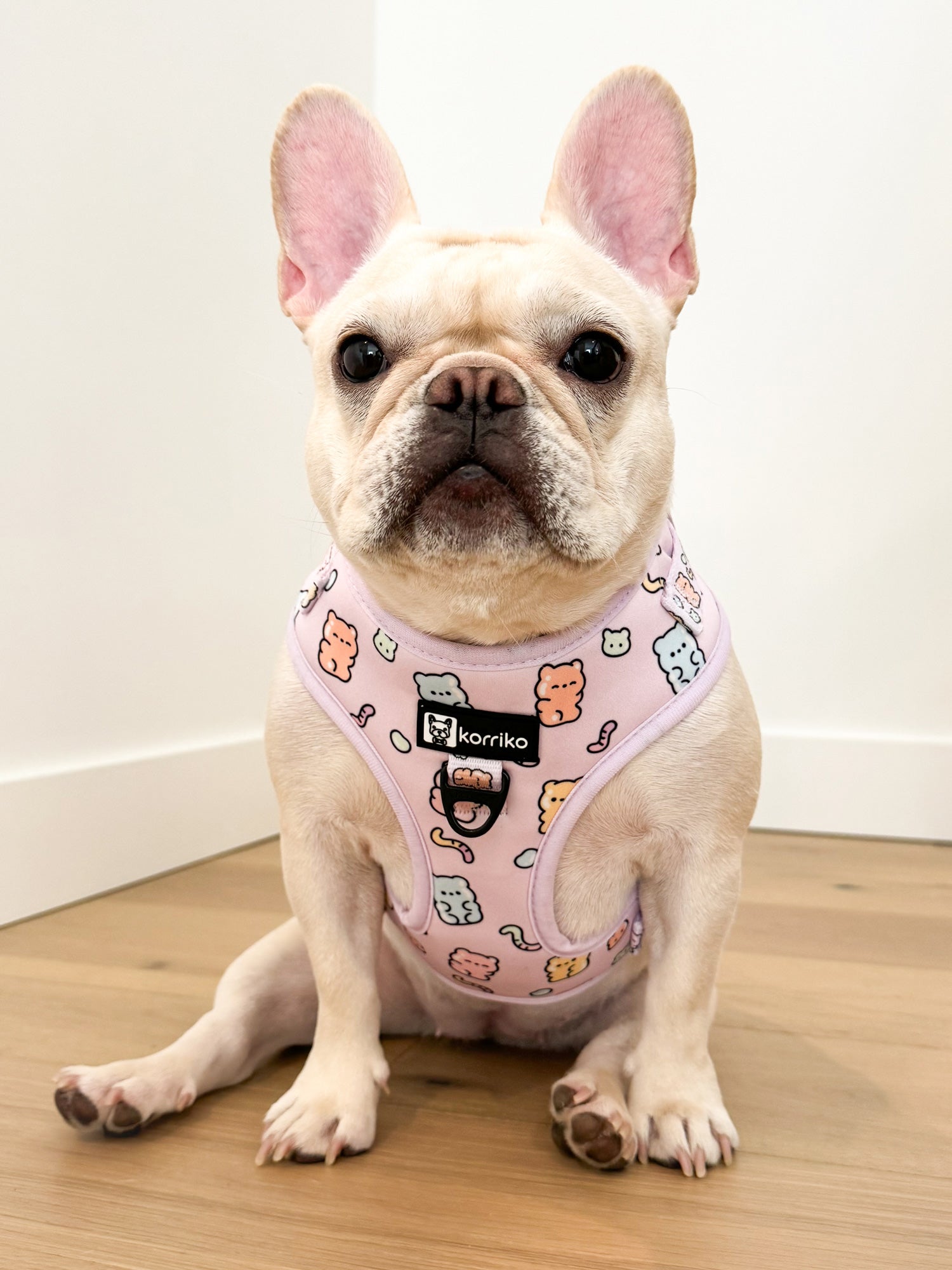 Essential Adjustable Harness Walk Set - Gummy Bear (3-Piece)