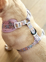 Ultimate Harness Bundle Set - Gummy Bear (Adjustable)