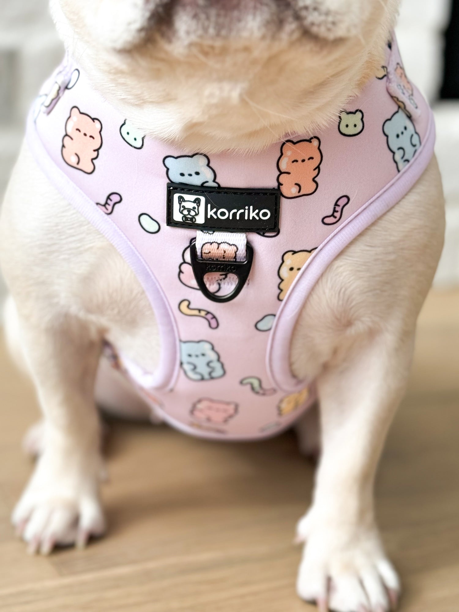 Ultimate Harness Bundle Set - Gummy Bear (Adjustable)