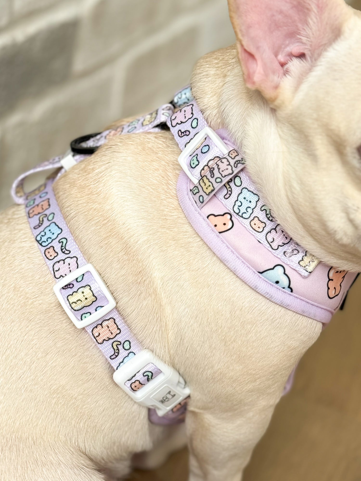 Ultimate Harness Bundle Set - Gummy Bear (Adjustable)