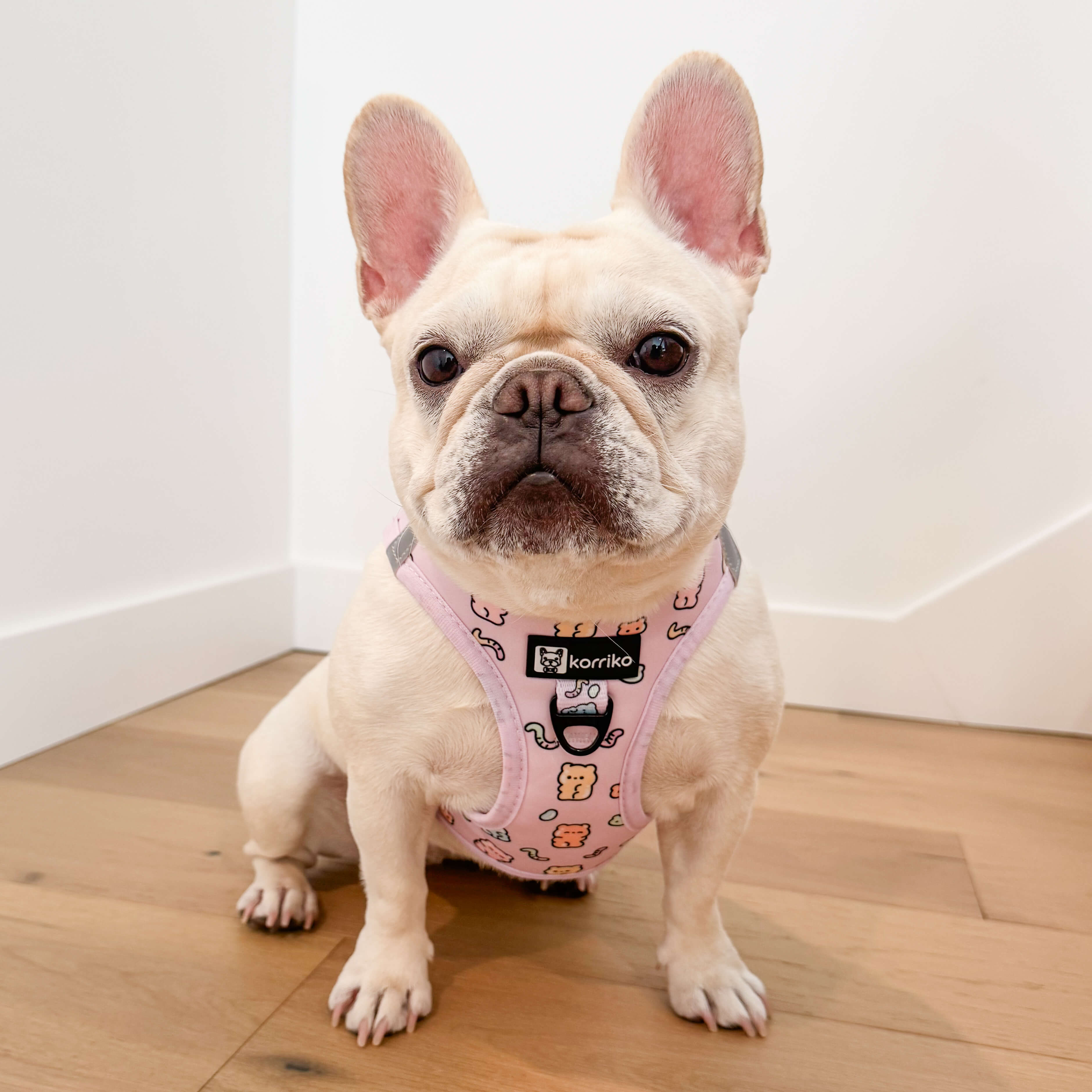 Essential Step-In Harness Walk Set - Gummy Bear (3-Piece)