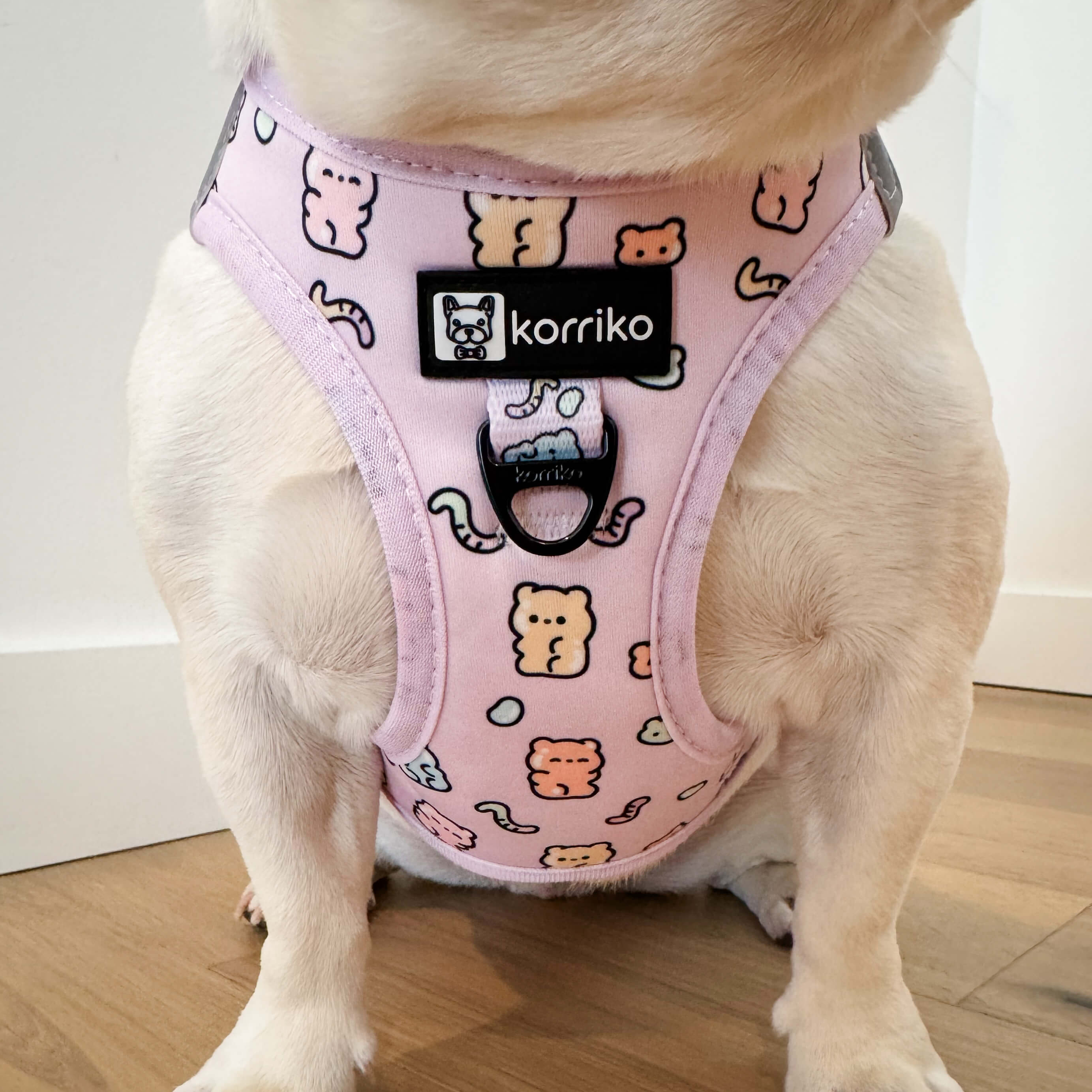 Essential Step-In Harness Walk Set - Gummy Bear (3-Piece)