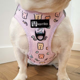 Essential Step-In Harness Walk Set - Gummy Bear (3-Piece)