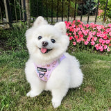 Step-In Dog Harness - Gummy Bear