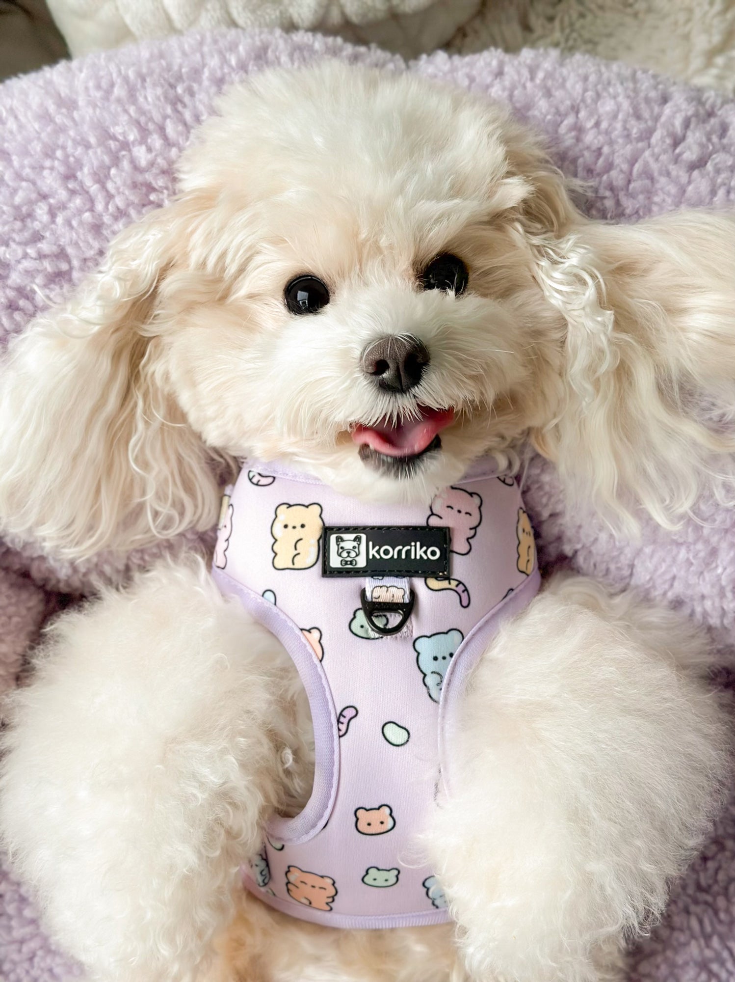 Ultimate Harness Bundle Set - Gummy Bear (Adjustable)