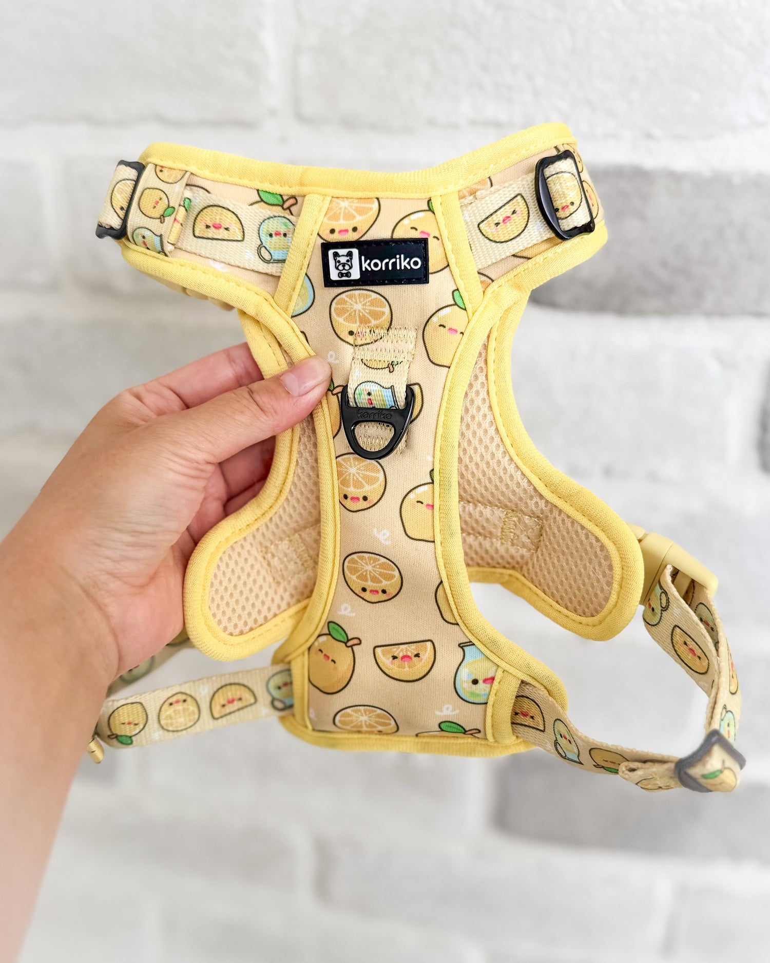 Essential Exploration No-Pull Harness Walk Set - Lemonade (3-Piece)