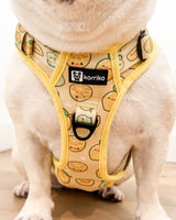 Essential Exploration No-Pull Harness Walk Set - Lemonade (3-Piece)