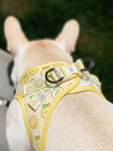 Essential Step-In Harness Walk Set - Lemonade (3-Piece)