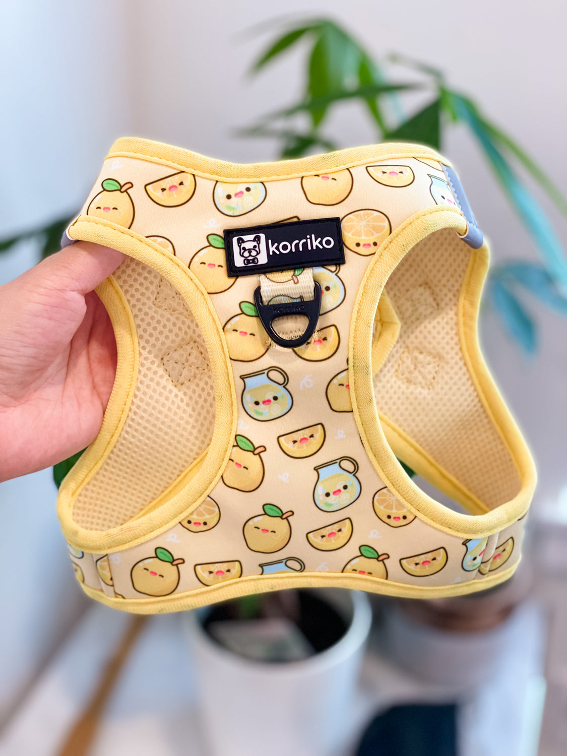 Essential Step-In Harness Walk Set - Lemonade (3-Piece)