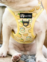 Essential Step-In Harness Walk Set - Lemonade (3-Piece)