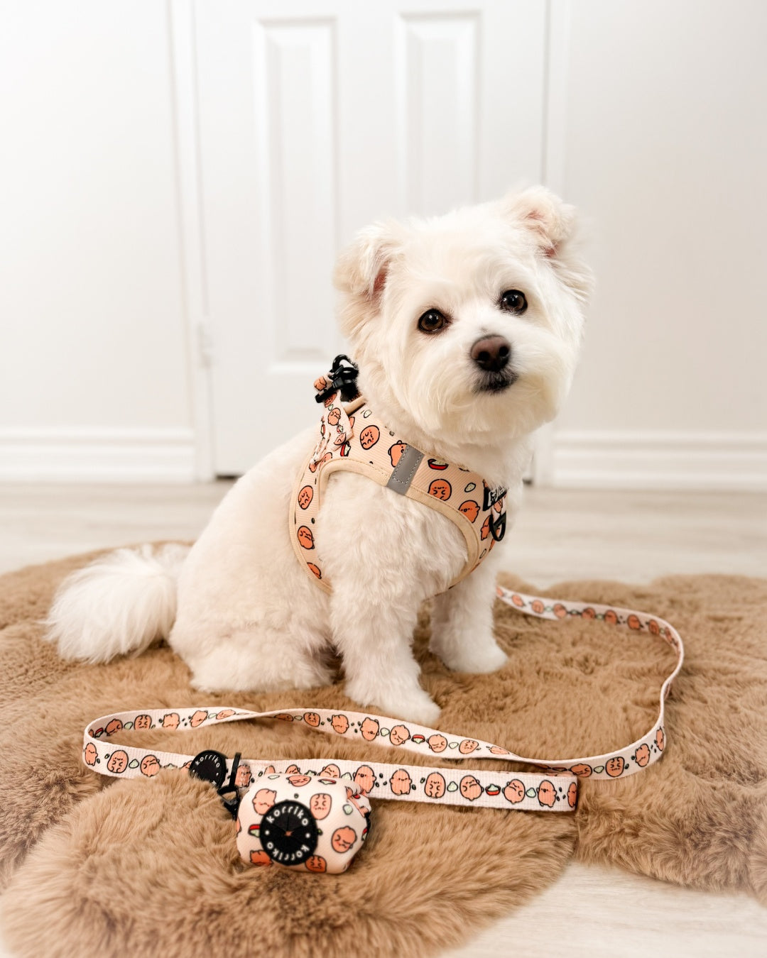 Essential Step-In Harness Walk Set - Potato (3-Piece)