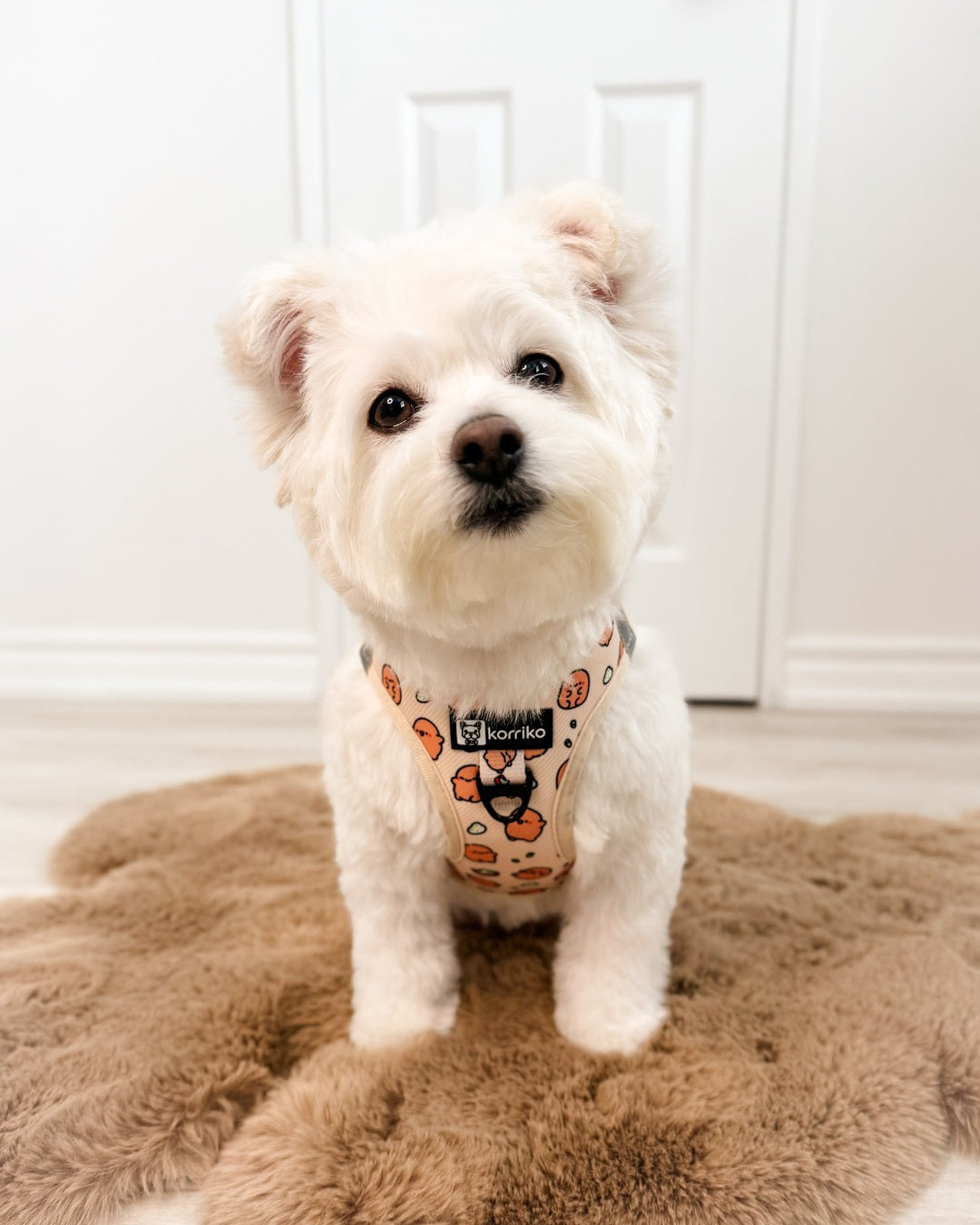 Ultimate Step-In Harness Bundle Set - Potato (4-Piece)