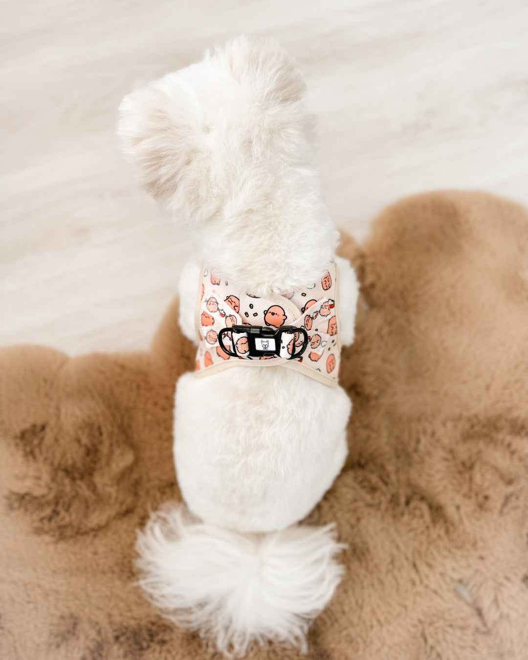 Essential Step-In Harness Walk Set - Potato (3-Piece)