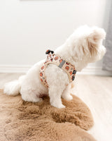 Essential Step-In Harness Walk Set - Potato (3-Piece)
