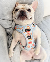 Essential Exploration No-Pull Harness Walk Set - Pizza (3-Piece)