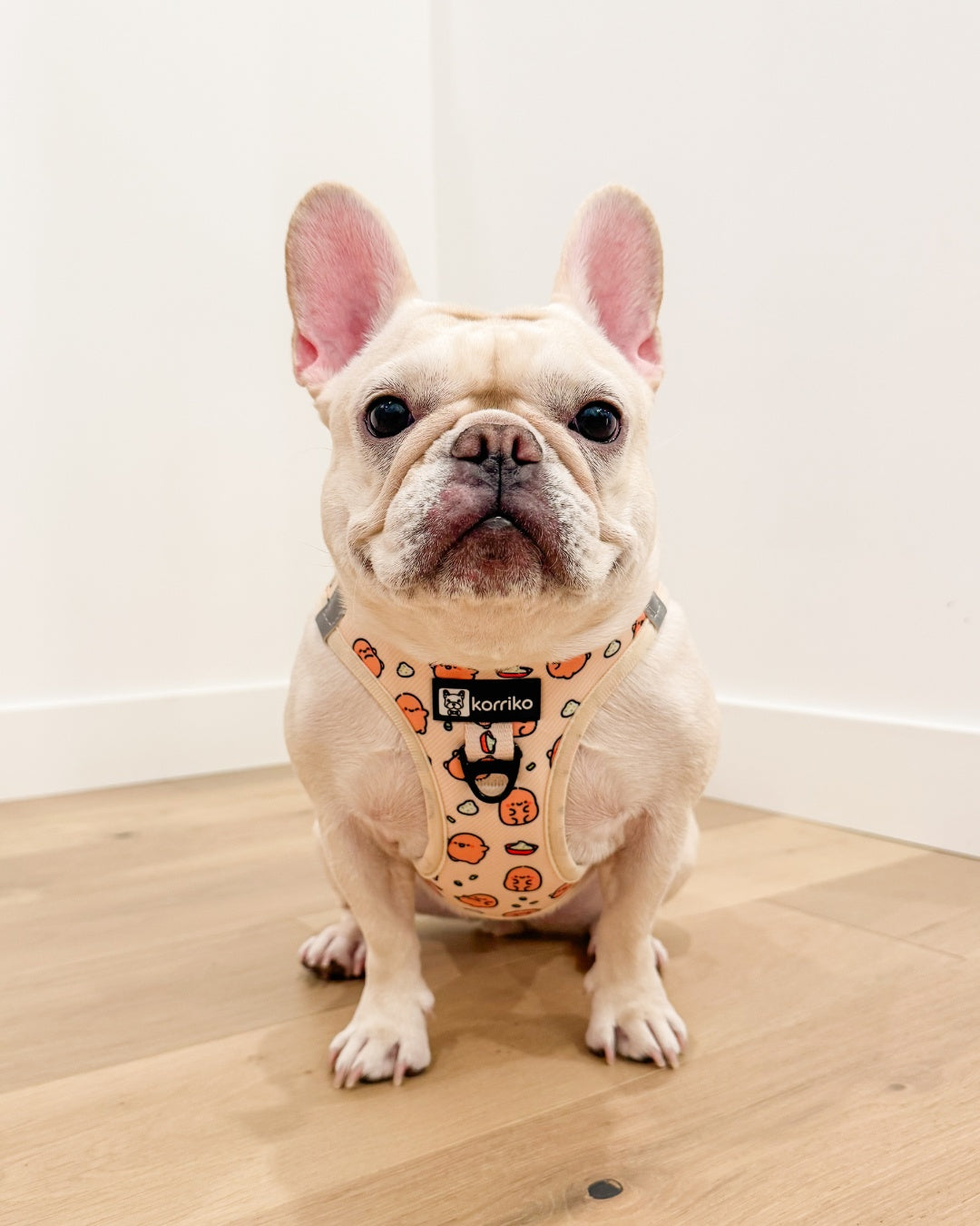 Essential Step-In Harness Walk Set - Potato (3-Piece)