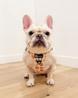 Essential Step-In Harness Walk Set - Potato (3-Piece)