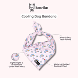 Ultimate Collar Bundle Set - Over The Rainbow