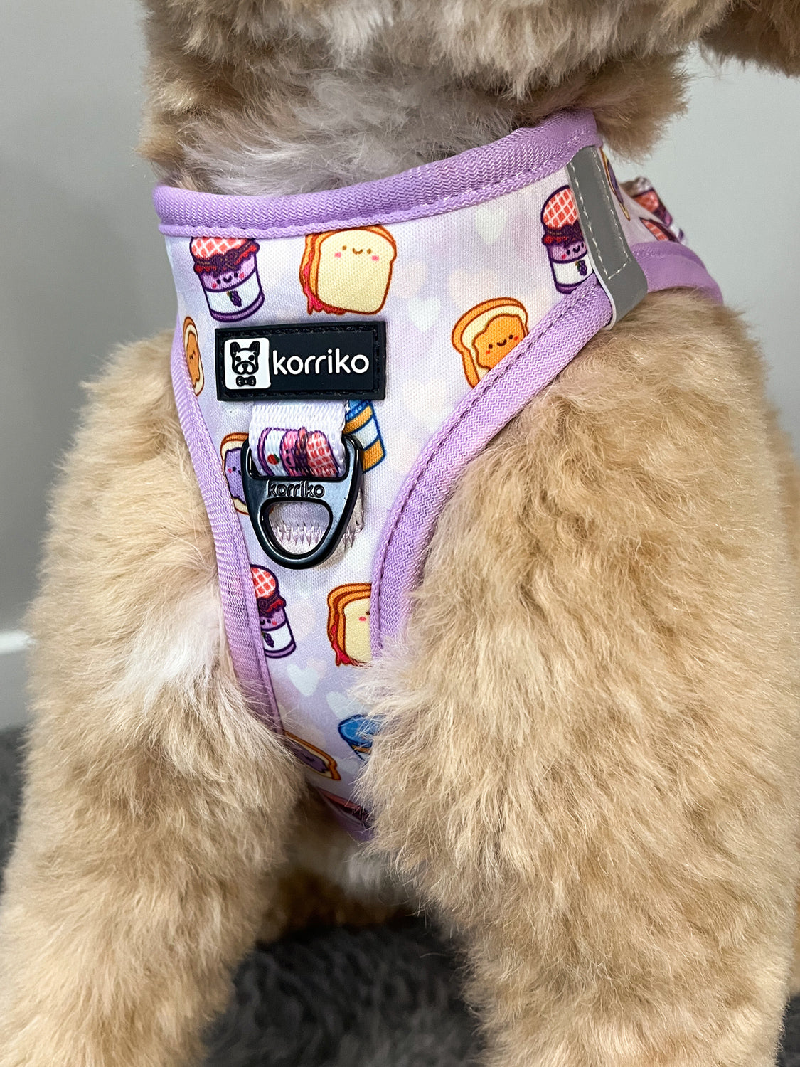 Essential Step-In Harness Walk Set - Peanut Butter Jelly (3-Piece)