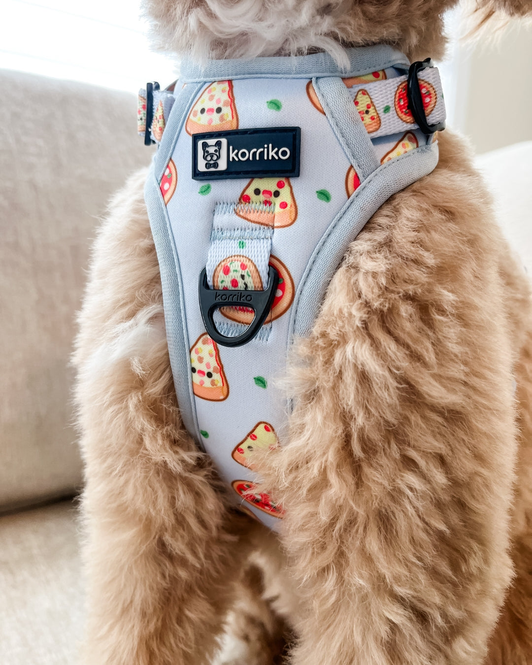 Essential Exploration No-Pull Harness Walk Set - Pizza (3-Piece)