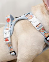 Essential Exploration No-Pull Harness Walk Set - Pizza (3-Piece)