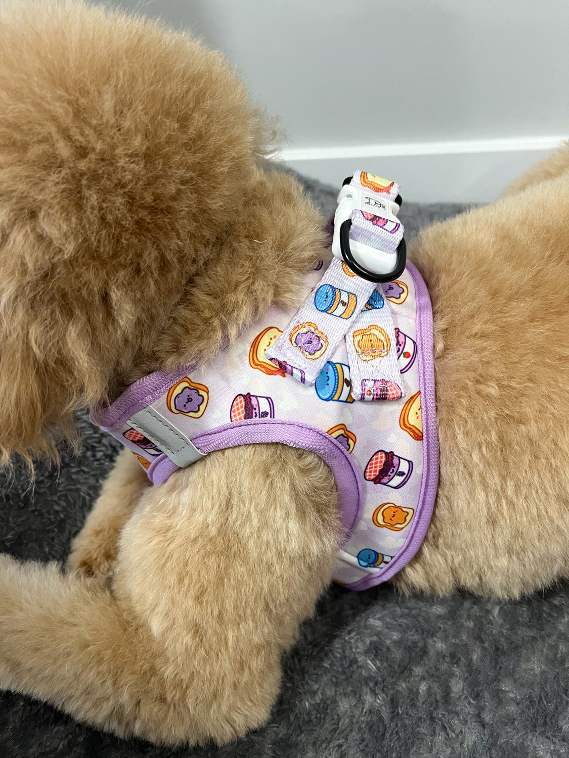 Essential Step-In Harness Walk Set - Peanut Butter Jelly (3-Piece)
