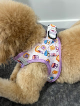Essential Step-In Harness Walk Set - Peanut Butter Jelly (3-Piece)