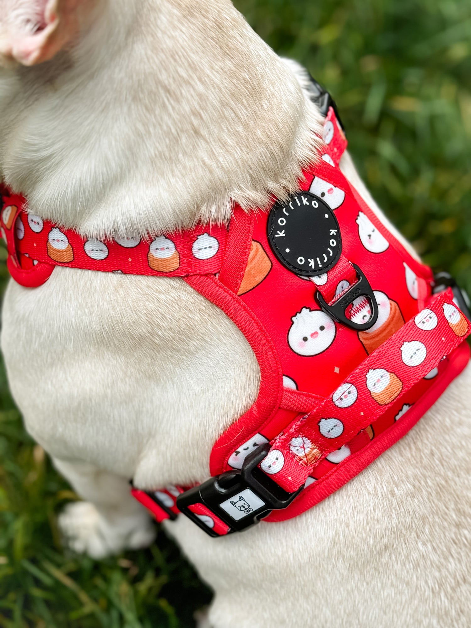 Exploration Lite No-Pull Dog Harness - Soup Dumpling