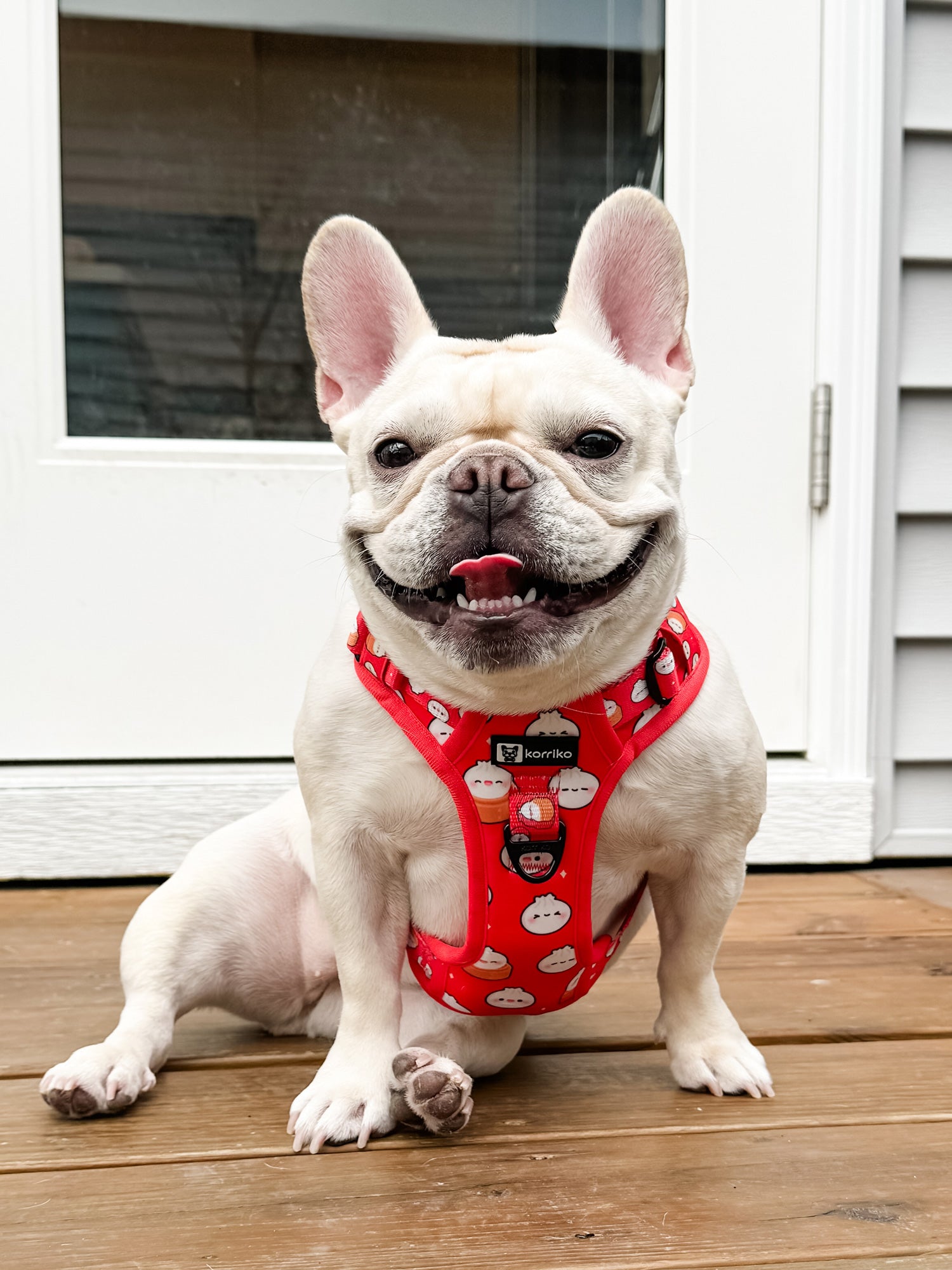 Essential Exploration No-Pull Harness Walk Set - Soup Dumpling (3-Piece)