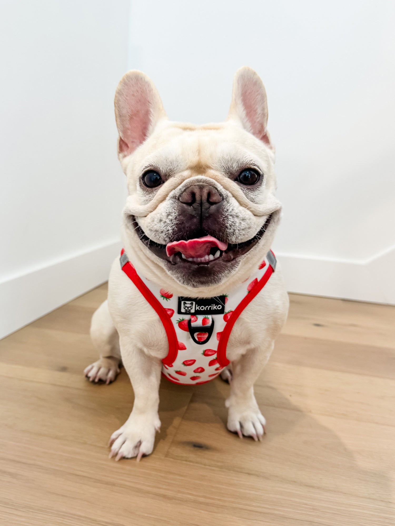 Step-In Dog Harness - Strawberries & Cream