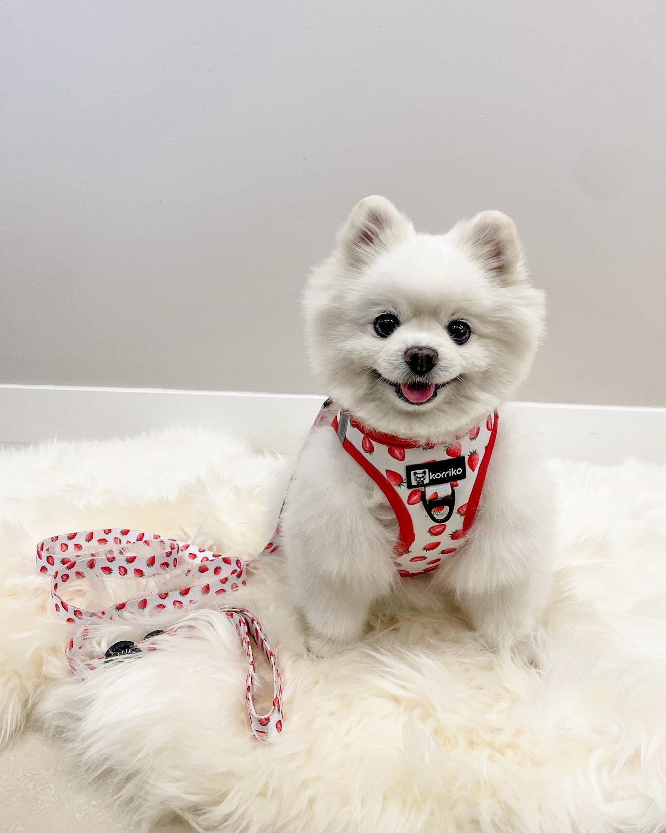 Essential Step-In Harness Walk Set - Strawberries & Cream (3-Piece)