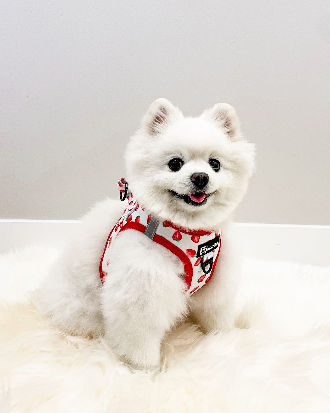 Essential Step-In Harness Walk Set - Strawberries & Cream (3-Piece)