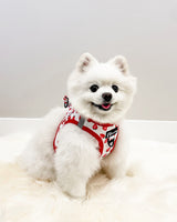 Essential Step-In Harness Walk Set - Strawberries & Cream (3-Piece)