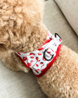 Essential Step-In Harness Walk Set - Strawberries & Cream (3-Piece)