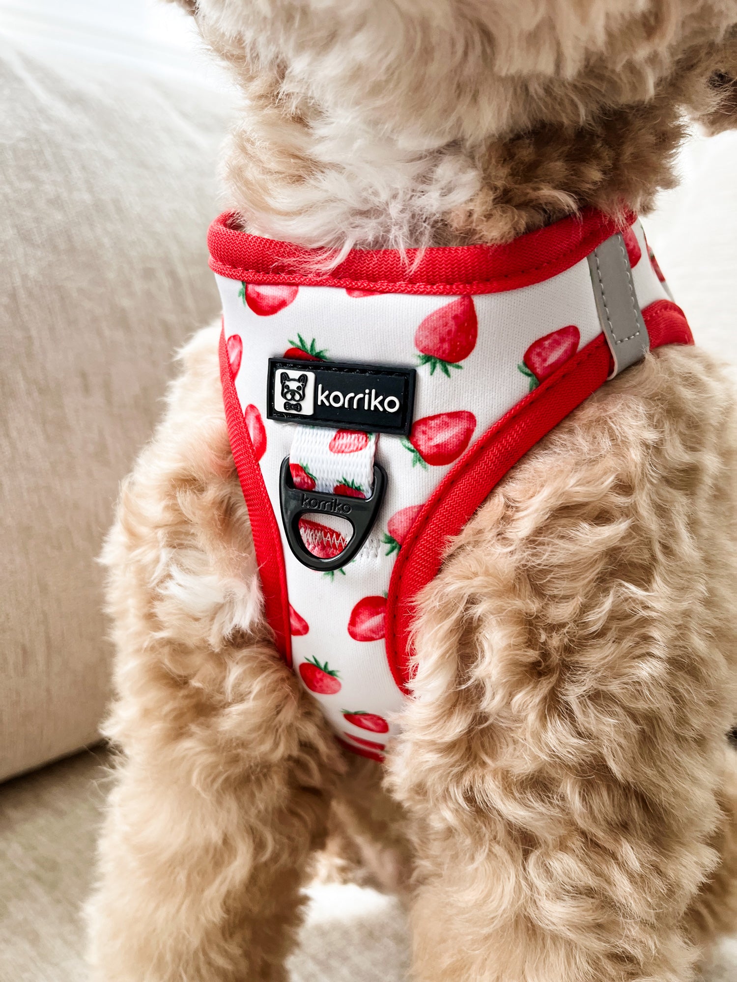 Essential Step-In Harness Walk Set - Strawberries & Cream (3-Piece)